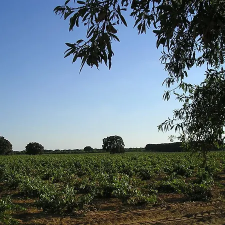 Casa Rural La Navarra